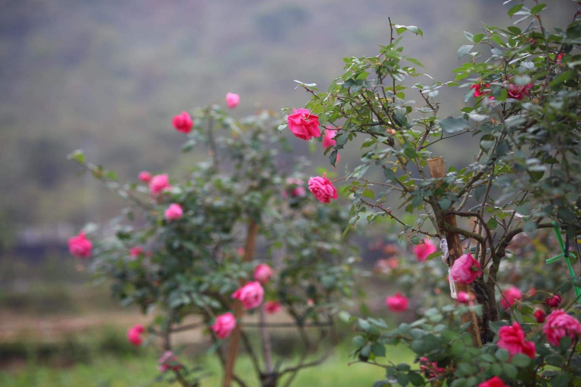 Nasan Green Farm Cao Bang Exterior photo